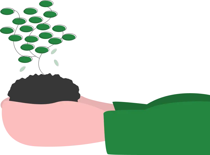 Plantation Cover